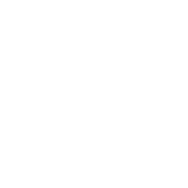 bithawk logo positiv